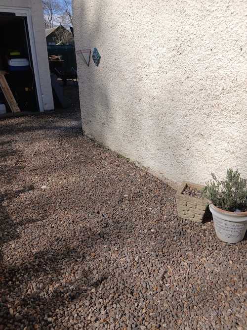 clean and tidy yard waste removed