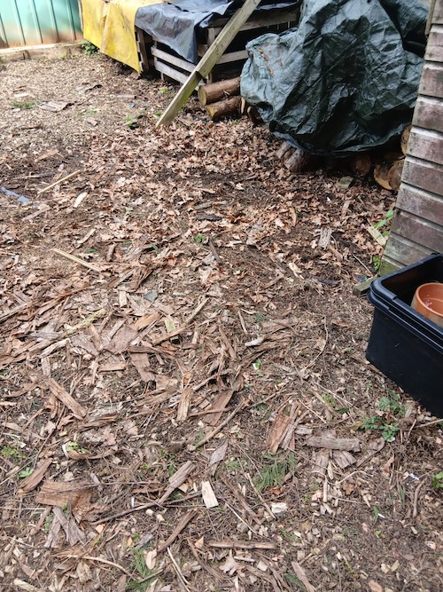 yard cleared