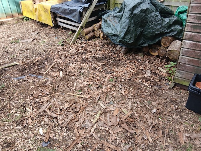 yard cleared