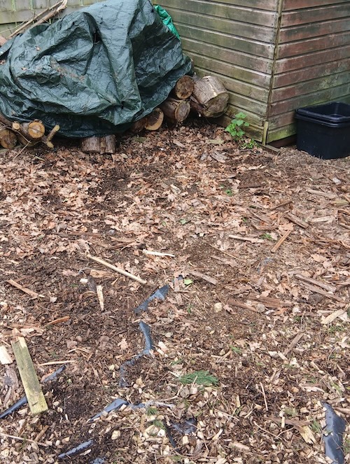 yard cleared